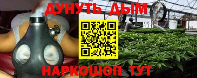 стафф Краснознаменск