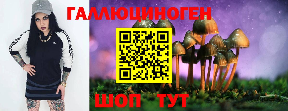 Галлюциногенные грибы GOLDEN TEACHER Реутов
